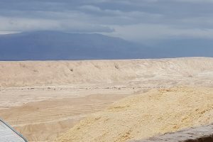 פארק נחל אמציהו - פארק אקולוגי בים המלח