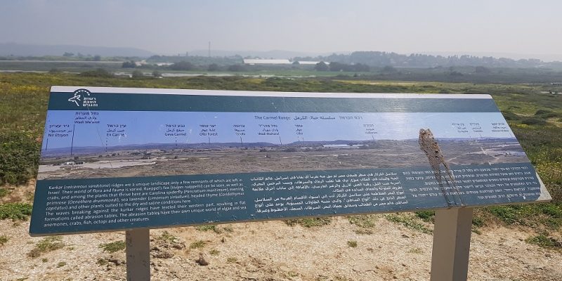 שמורת הטבע חוף דור הבונים - טיול ברצועת חוף מרהיבה