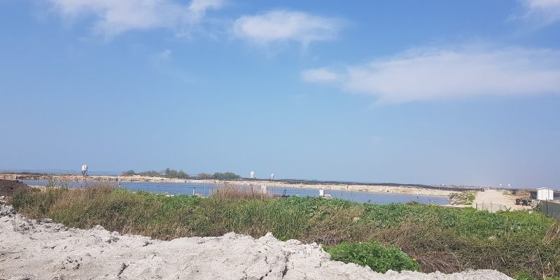 פסל לב הים – המקדש - קיבוץ מעגן מיכאל