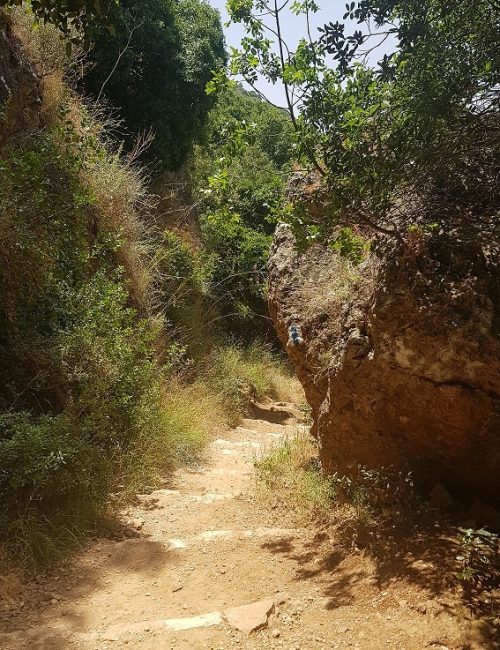 גן לאומי נחל צלמון