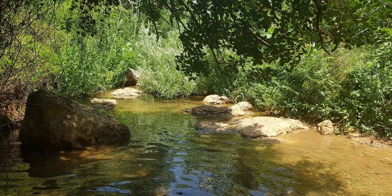 גן לאומי נחל צלמון