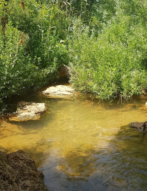 גן לאומי נחל צלמון