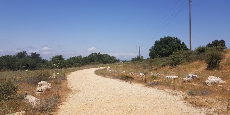 תצפית הר אדיר לזכר הנופלים ממלחמת לבנון השנייה