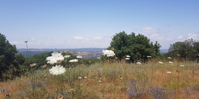 תצפית הר אדיר לזכר הנופלים ממלחמת לבנון השנייה