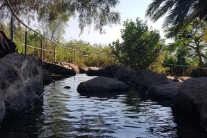 יער מבוא חמה ועין תאופיק (עין עקוב) – פארק מטיילים ומעיין זורם