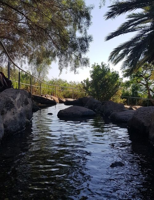 יער מבוא חמה ועין תאופיק (עין עקוב) – פארק מטיילים ומעיין זורם יער מבוא חמה ועין תאופיק (עין עקוב) – פארק מטיילים ומעיין זורם