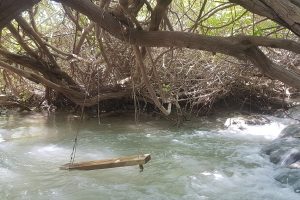 המפלים הלבנים עמק המעיינות