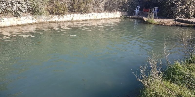 עין יבקע מעיין הסוסים נחל ציפורי