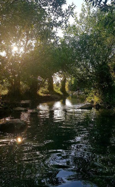 עין יבקע נחל ציפורי