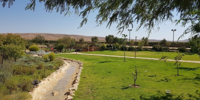 כרם רמון – כרם בלב מדבר