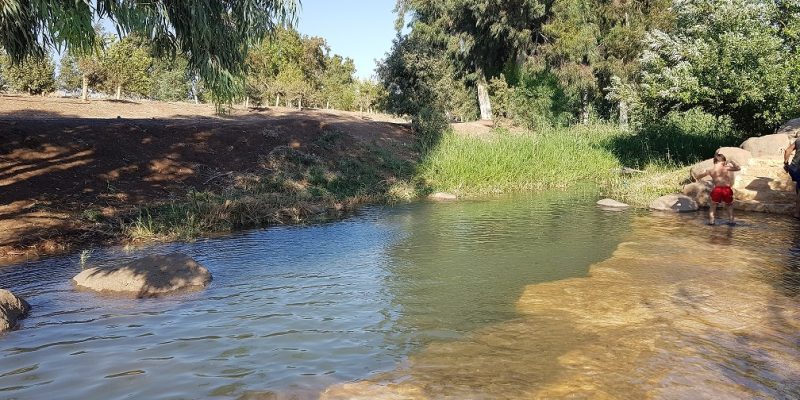 חורשת גדעון - בריכת גידעונה נחל חרוד