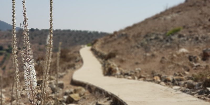 גן לאומי יודפת העתיקה - תל יודפת