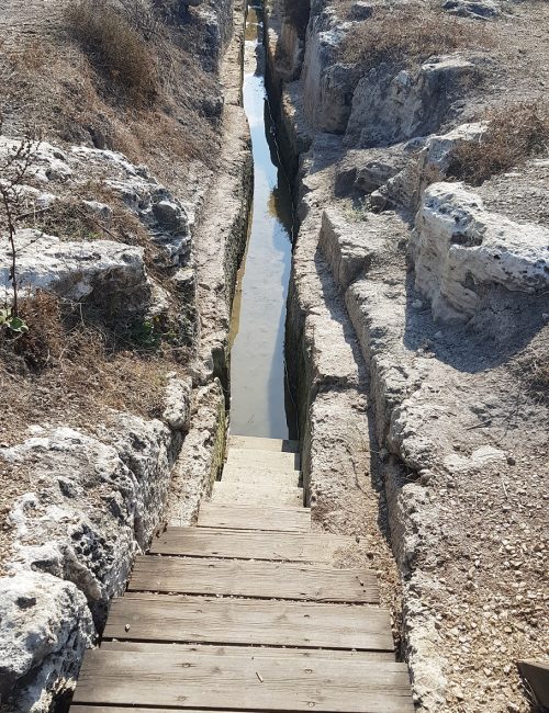 מסלול אמות הליכה במים שמורת הטבע נחל תנינים
