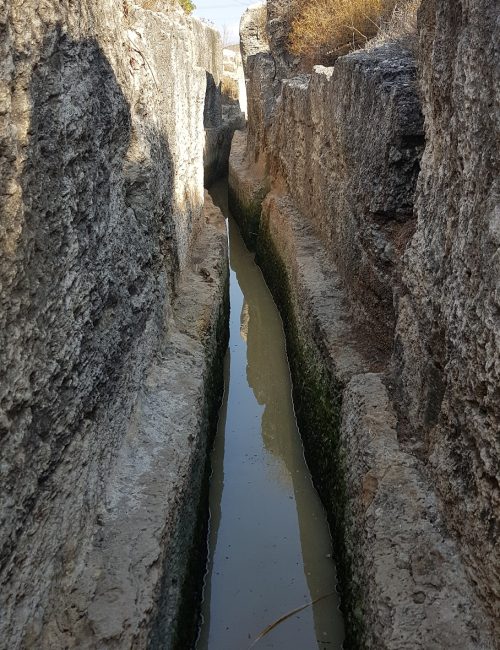 מסלול אמות הליכה במים שמורת הטבע נחל תנינים