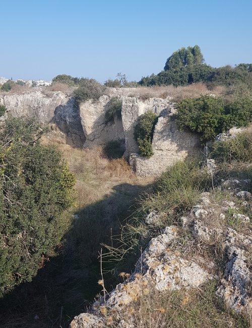 חורבת מלח – אתר עתיקות ופריחה בסתיו ובחורף