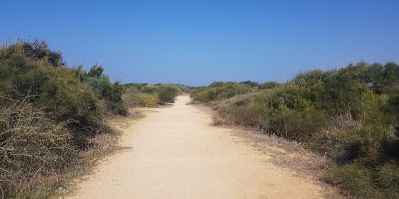 מקטע 18 שביל ישראל - יקום לתל אביב