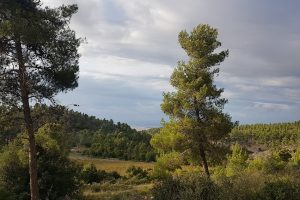 גן לאומי הר הרוח ודרך נוף נחל יתלה