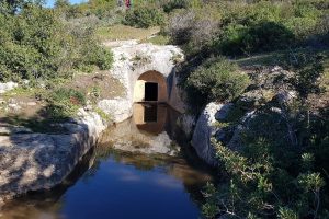 מסלול לחורבת רקית ותצפית הר שוקף – גן לאומי פארק הכרמל