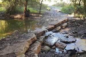 מסלול נחל גחר עליון בפארק רמת מנשה