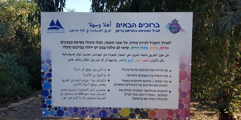 פארק החושים חורשת גדעונה נחל חרוד