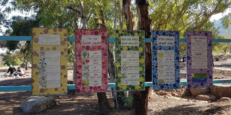פארק החושים חורשת גדעונה נחל חרוד