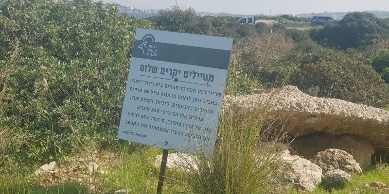 גבעת הפרחים וגבעת הצבעונית: החלק שקרוב לבריכות הדגים ומעיין הצבי