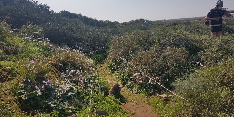 גבעת הפרחים וגבעת הצבעונית: החלק שקרוב לבריכות הדגים ומעיין הצבי