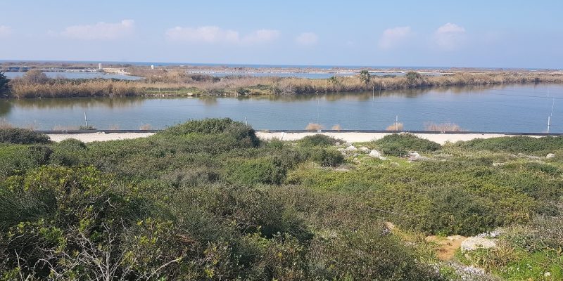 גבעת הפרחים וגבעת הצבעונית: החלק שקרוב לבריכות הדגים ומעיין הצבי