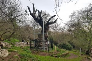 שביל אילן – אתר הנצחה לזכר אילן גבאי