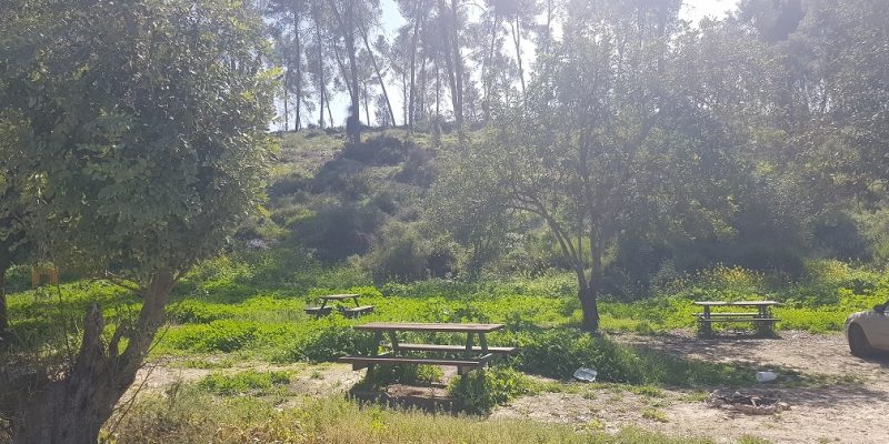 יער המלאכים – שחריה