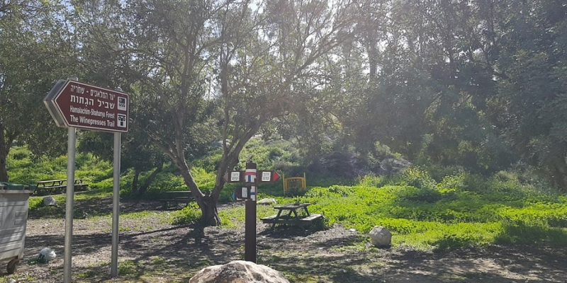יער המלאכים – שחריה