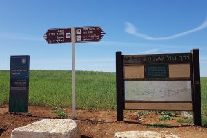 דרך נוף נחל שקמה