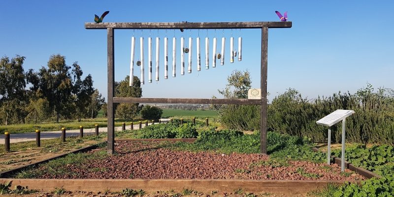 דרך נוף יער ניר משה – דרך פרשי היאומנרי