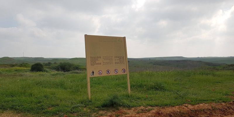 שמורת הטבע בתרונות רוחמה – העץ הבודד, הכלניות ומגדל התצפית
