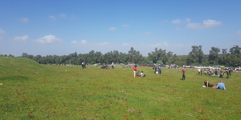 גבעת הכלניות – קבר אריאל ולילי שרון מול חוות השקמים