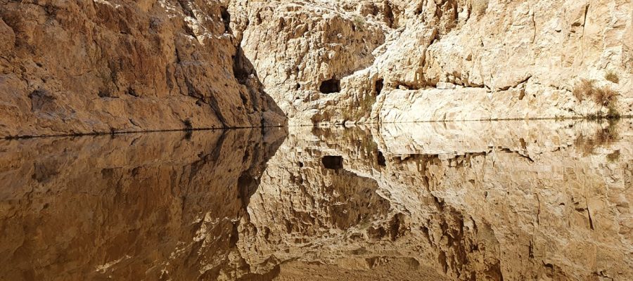 עין אום צאלח: המדריך המלא למעיין החבוי בלב מדבר