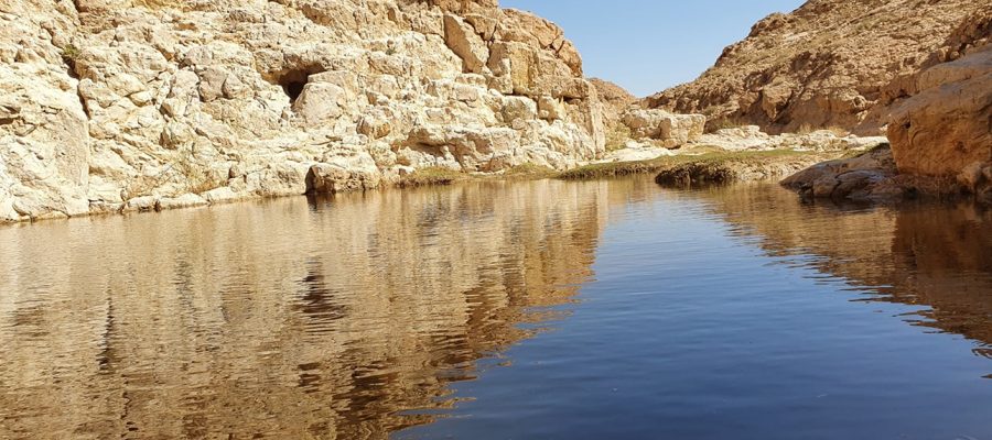 עין אום צאלח: המדריך המלא למעיין החבוי בלב מדבר