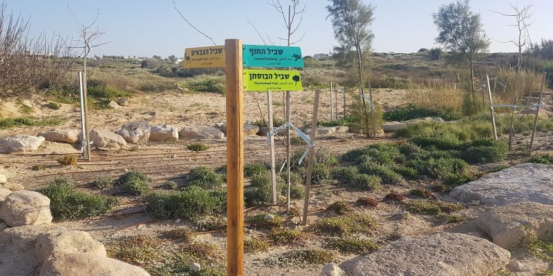 הפארק האקולוגי מצודת ים אשדוד