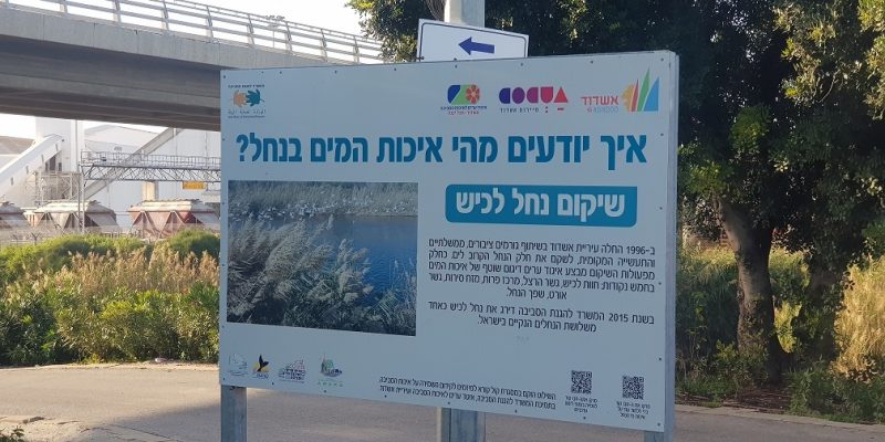 פארק נחל לכיש באשדוד – טבע, חיות ושעשועים והכל בחינם
