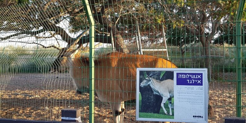 פארק נחל לכיש באשדוד – טבע, חיות ושעשועים והכל בחינם