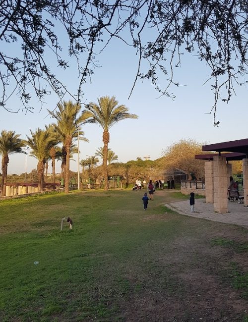 פארק נחל לכיש באשדוד – טבע, חיות ושעשועים והכל בחינם