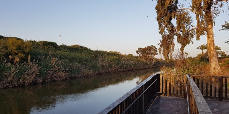 פארק נחל לכיש באשדוד – טבע, חיות ושעשועים והכל בחינם