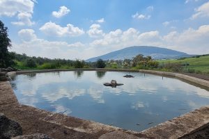 עין קאזאן עין חיזר – מעיין בכפר כמא אל מול נופי הר התבור