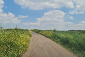 עין קאזאן עין חיזר – מעיין בכפר כמא אל מול נופי הר התבור