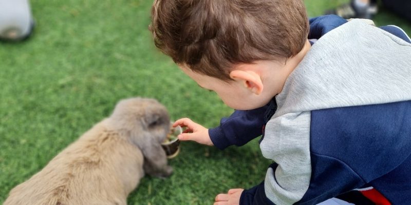 כפר הארנבונים חוות נגר – בית לחם הגלילית