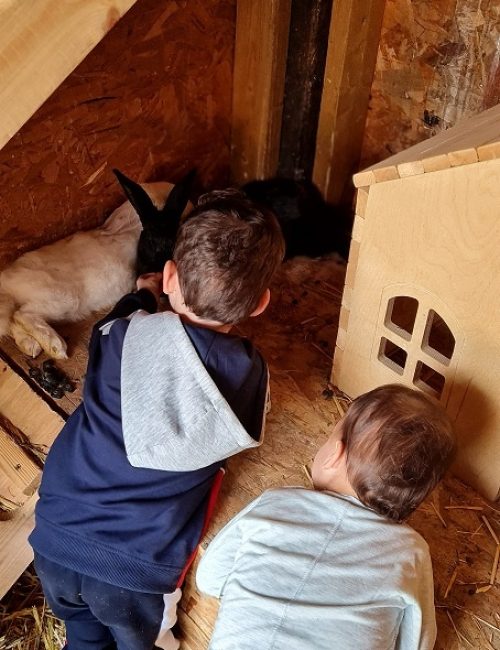 כפר הארנבונים חוות נגר – בית לחם הגלילית