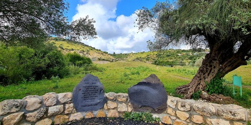 שמורת טוף כרם מהר"ל - הר געש בהר הכרמל