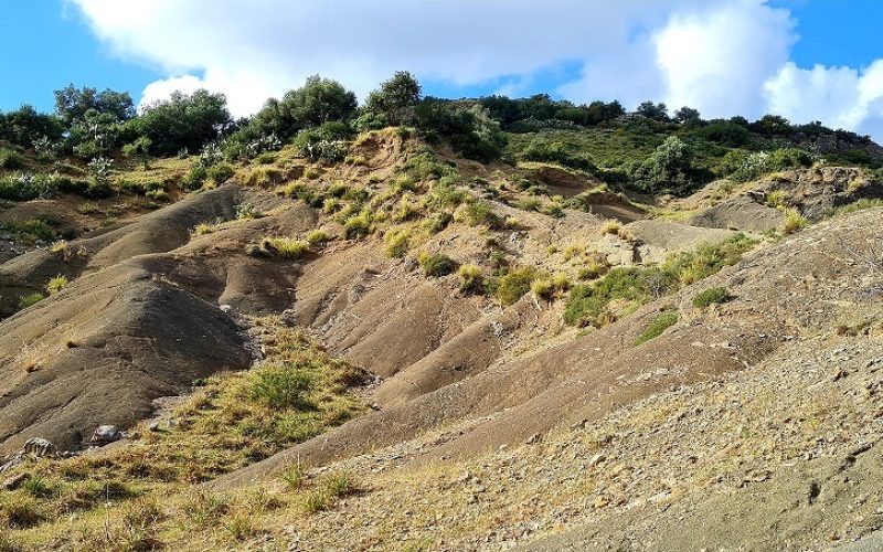 שמורת טוף כרם מהר"ל - הר געש בהר הכרמל