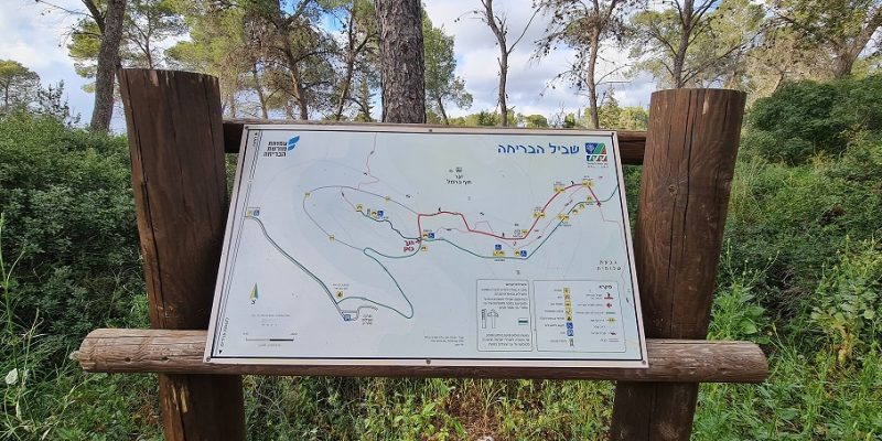 שביל הבריחה ביער עופר יער חוף הכרמל