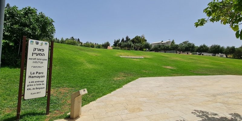 קפה גולדי: עגלת קפה בלב מטולה